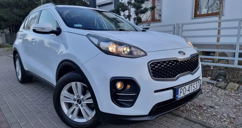 samochody osobowe Kia Sportage cena 76999 przebieg: 126000, rok produkcji 2018 z Stryków